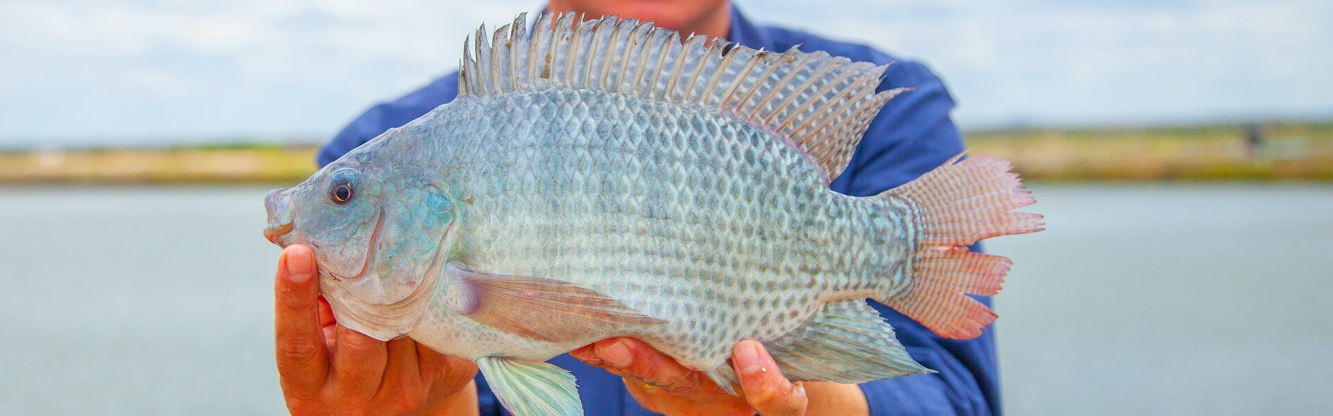 Mapa tenta retomar exportação de pescado para a União Europeia